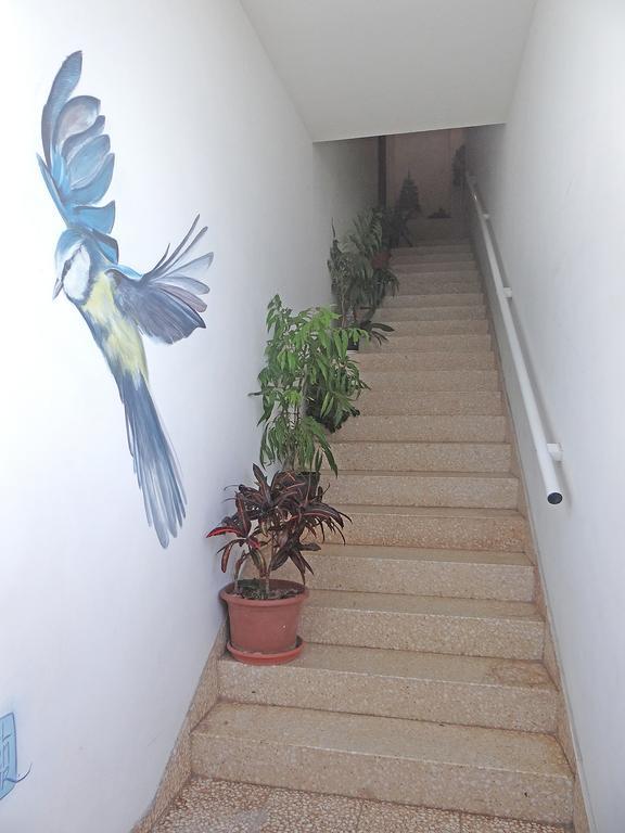 Apartamentos Dominguez Calera エクステリア 写真